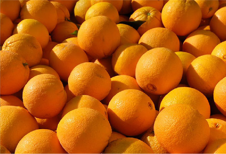 Orange Navel